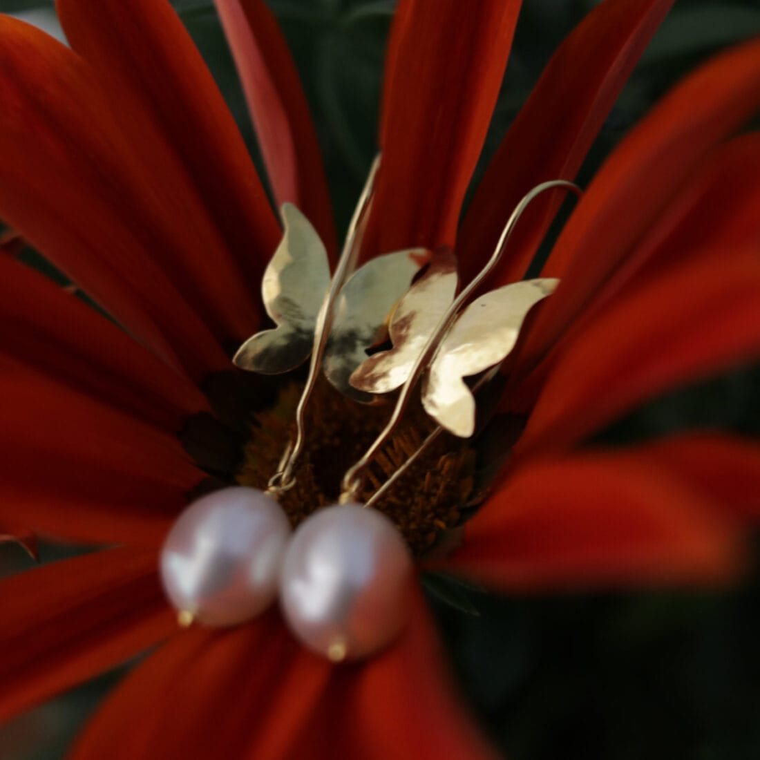 Σκουλαρίκια πεταλούδα με μαργαριτάρι