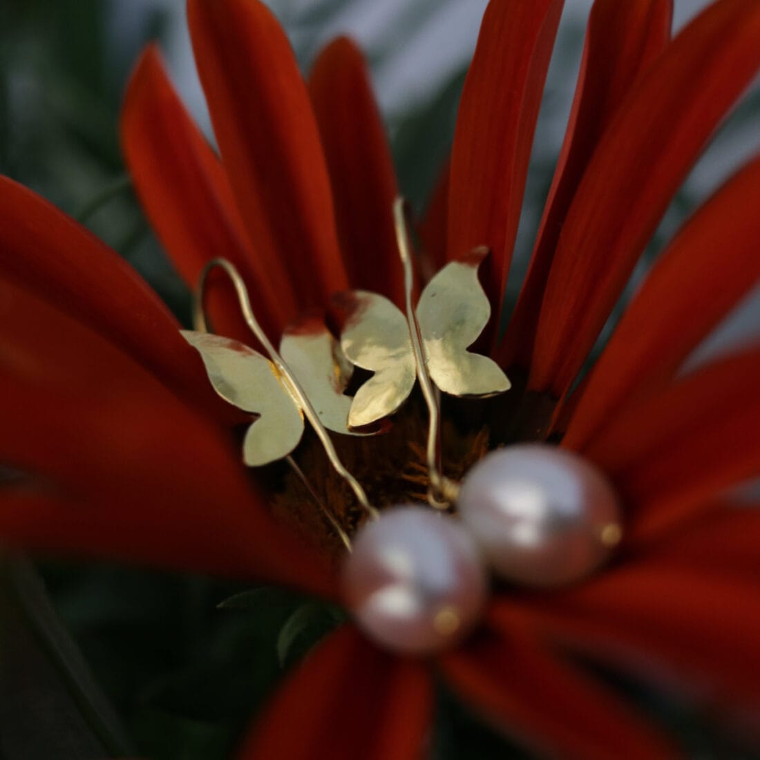 Σκουλαρίκια πεταλούδα με μαργαριτάρι