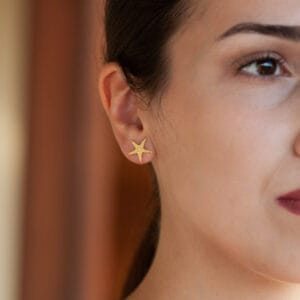 Σκουλαρίκια αστερίες μεγάλοι