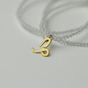 Ζώδιο Αιγόκαιρος