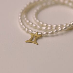 Ζώδιο Δίδυμοι