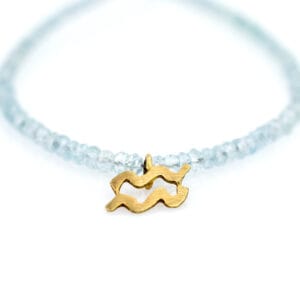 Ζώδιο Υδροχόος